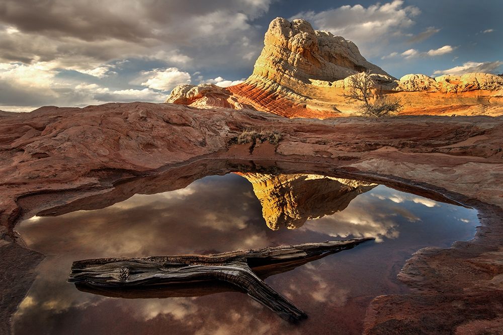 A log in a pool reflect white pockets area in northern Arizona art print by Steve Mohlenkamp for $57.95 CAD